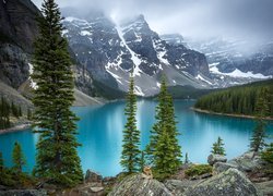 Jezioro Moraine wśród gór w Parku Narodowym Banff