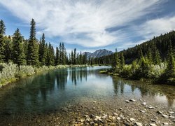 Jezioro Mount Lorette Ponds, Las, Góry Canadian Rockies, Kananaskis Country, Prowincja Alberta, Kanada