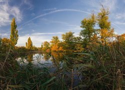 Jesień, Jezioro, Holasky lakes, Drzewa, Rośliny, Czechy