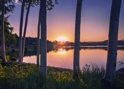 Stany Zjednoczone, Kolorado, Red Feather Lakes, Drzewa, Zachód słońca, Jezioro