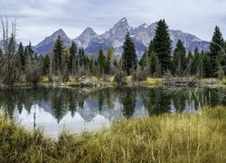 Park Narodowy Grand Teton, Jezioro, Góry Teton Range, Drzewa, Trawy, Odbicie, Stan Wyoming, Stany Zjednoczone