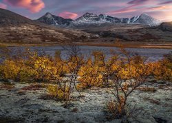 Norwegia, Okręg Oppland, Park Narodowy Rondane, Góry Rondane, Masyw Rondane, Jezioro, Roślinność, Krzewy, Jesień