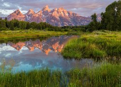 Stany Zjednoczone, Stan Wyoming, Park Narodowy Grand Teton, Pasmo górskie Teton, Jezioro, Drzewa, Odbicie