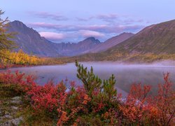 Góry, Masyw Angachak, Jezioro Nevidimka, Drzewa, Jesień, Kołyma, Obwód magadański, Rosja
