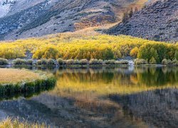 Jezioro North Lake, Góry, Sierra Nevada, Trawy, Drzewa, Kamienie, Chmury, Odbicie, Kalifornia, Stany Zjednoczone