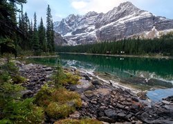 Kanada, Kolumbia Brytyjska, Park Narodowy Yoho, Góry Canadian Rockies, Jezioro O’Hara, Kamienie, Świerki