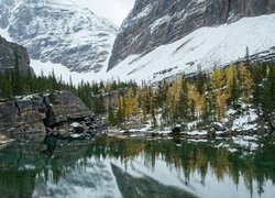 Jezioro O’Hara w Parku Narodowym Yoho