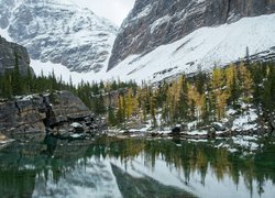 Kanada, Kolumbia Brytyjska, Park Narodowy Yoho, Góry Canadian Rockies, Jezioro O’Hara, Drzewa, Zima, Śnieg, Odbicie