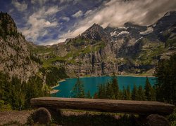 Jezioro Oeschinen, Góry Alpy Berneńskie, Ławka, Kanton Berno, Szwajcaria, Drzewa