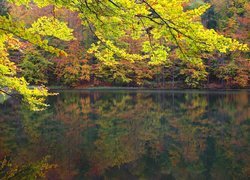 Jezioro otoczone jesiennymi drzewami