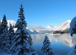 Jezioro, Góry, Drzewa, Zima