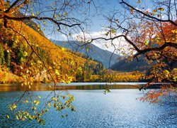 Chiny, Park Narodowy Jiuzhaigou, Jesień, Las, Góry, Jezioro Panda Lake, Drzewa