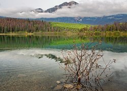 Park Narodowy Jasper, Jezioro, Patricia Lake, Drzewa, Lasy, Góry, Krzew, Kamienie, Alberta, Kanada