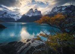 Chile, Park Narodowy Torres del Paine, Góry, Cordillera del Paine, Jezioro, Lake Pehoe, Drzewa, Skały