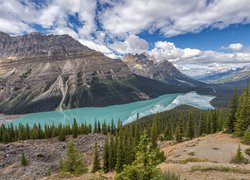 Park Narodowy Banff, Góry Canadian Rockies, Jezioro Peyto Lake, Lasy, Drzewa, Alberta, Kanada