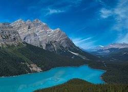Jezioro Peyto Lake i góry Canadian Rockies w Parku Narodowym Banff w Kanadzie