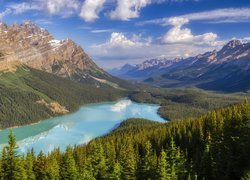 Jezioro Peyto Lake i góry w Parku Narodowym Banff
