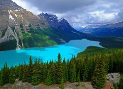 Jezioro Peyto Lake na tle gór w Parku Narodowym Banff