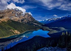 Jezioro Peyto Lake w kanadyjskich górach Canadian Rockies
