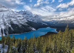 Jezioro Peyto Lake w kanadyjskim Parku Narodowym Banff