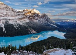 Kanada, Park Narodowy Banff, Góry Canadian Rockies, Jezioro Peyto Lake, Lasy, Zima