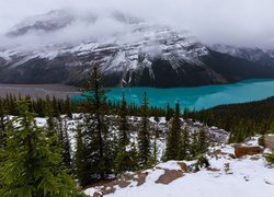 Jezioro Peyto Lake w zimowej scenerii