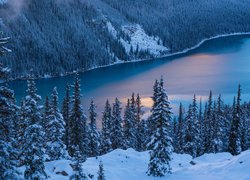 Zima, Śnieg, Drzewa, Park Narodowy Banff, Jezioro Peyto Lake, Prowincja Alberta, Kanada
