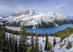 Jezioro Peyto Lake zimową porą