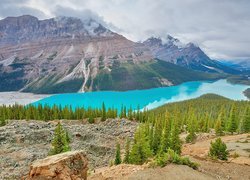 Park Narodowy Banff, Góry Canadian Rockies, Jezioro Peyto, Lasy, Drzewa, Alberta, Kanada