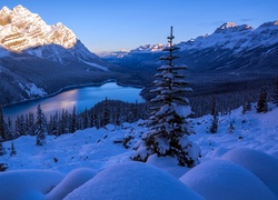 Jezioro Peyto w Parku Narodowym Banff w Kanadzie zimą