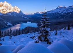 Kanada, Park Narodowy Banff, Jezioro Peyto, Góry, Lasy, Zima