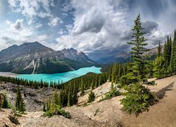 Jezioro, Peyto, Góry, Chmury, Drzewa, Świerki, Prowincja Alberta, Park Narodowy Banff, Kanada