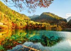 Chiny, Park Narodowy Jiuzhaigou, Jesień, Las, Góry, Jezioro Wu Hua Hai - Pięciu Kwiatów, Drzewa