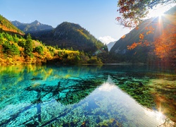 Jezioro Pięciu Kwiatów w chińskim Parku Narodowym Jiuzhaigou