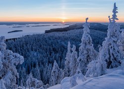 Finlandia, Karelia Północna, Park Narodowy Koli, Lieksa, Jezioro Pielinen, Zima, Las, Wzgórza, Ośnieżone, Świerki, Zachód słońca