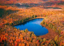Jezioro pośród jesiennych lasów w Ontario