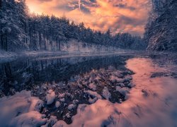 Zima, Drzewa, Las, Jezioro, Zachód słońca, Chmury, Gmina Ringerike, Norwegia