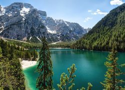 Jezioro Pragser Wildsee, Góry Dolomity, Tyrol Południowy, Włochy, Drzewa