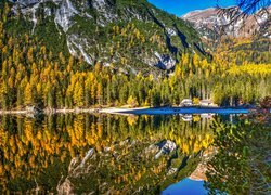 Włochy, Jezioro Braies - Pragser Wildsee, Góry, Las, Kościół, Odbicie