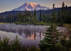 Park Narodowy Mount Rainier, Jezioro Reflection Lakes, Góra, Szczyt Mount Rainier, Stan Waszyngton, Stany Zjednoczone, Las, Drzewa, Świerki, Mgła