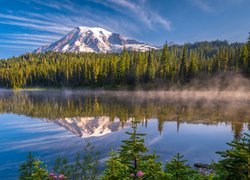 Góra, Stratowulkan, Mount Rainier, Jezioro, Reflection Lakes, Park Narodowy Mount Rainier, Drzewa, Mgła, Stan Waszyngton, Stany Zjednoczone