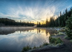 Jezioro Reflection Lakes, Las, Drzewa, Wschód słońca, Poranek, Mgła, Przymrozek, Park Narodowy Mount Rainier, Stan Waszyngton, Stany Zjednoczone