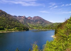 Góry, Jezioro Schwarzensee, Lasy, Drzewa, Austria