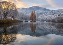 Góry, Jezioro, Songgokji, Zima, Drzewa, Odbicie, Gongju, Korea Południowa