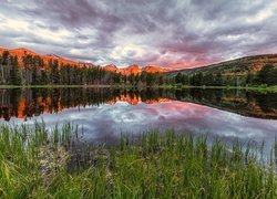 Góry, Jezioro, Sprague Lake, Trawa, Park Narodowy Gór Skalistych, Kolorado, Stany Zjednoczone