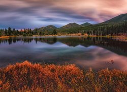 Jezioro, Sprague Lake, Góry, Trawa, Park Narodowy Gór Skalistych, Kolorado, Stany Zjednoczone