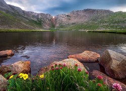 Góry, Mount Evans, Jezioro, Summit Lake, Kamienie, Kwiaty, Stan Kolorado, Stany Zjednoczone