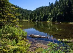 Jezioro Summit Lake w stanie Waszyngton