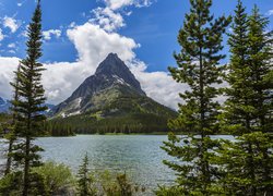 Stany Zjednoczone, Stan Montana, Park Narodowy Glacier, Jezioro Swiftcurrent Lake, Szczyt Grinnell Point, Góry, Drzewa