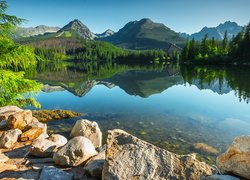 Jezioro Szczyrbskie, Góry, Tatry Wysokie, Drzewa, Lasy, Kamienie, Miejscowość Szczyrbskie Jezioro, Słowacja